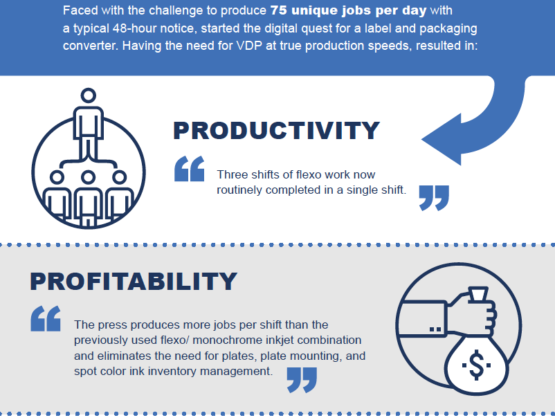 Why Digital Hybrid Infographic